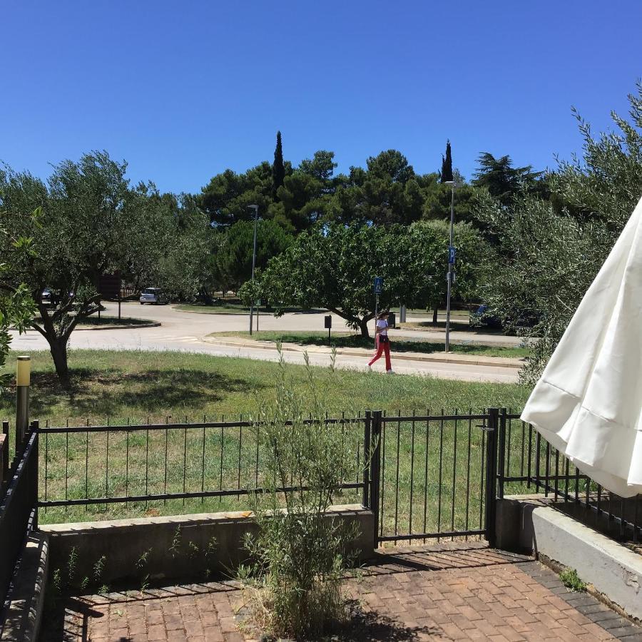 Apartments Nautica Novigrad Istria Eksteriør bilde
